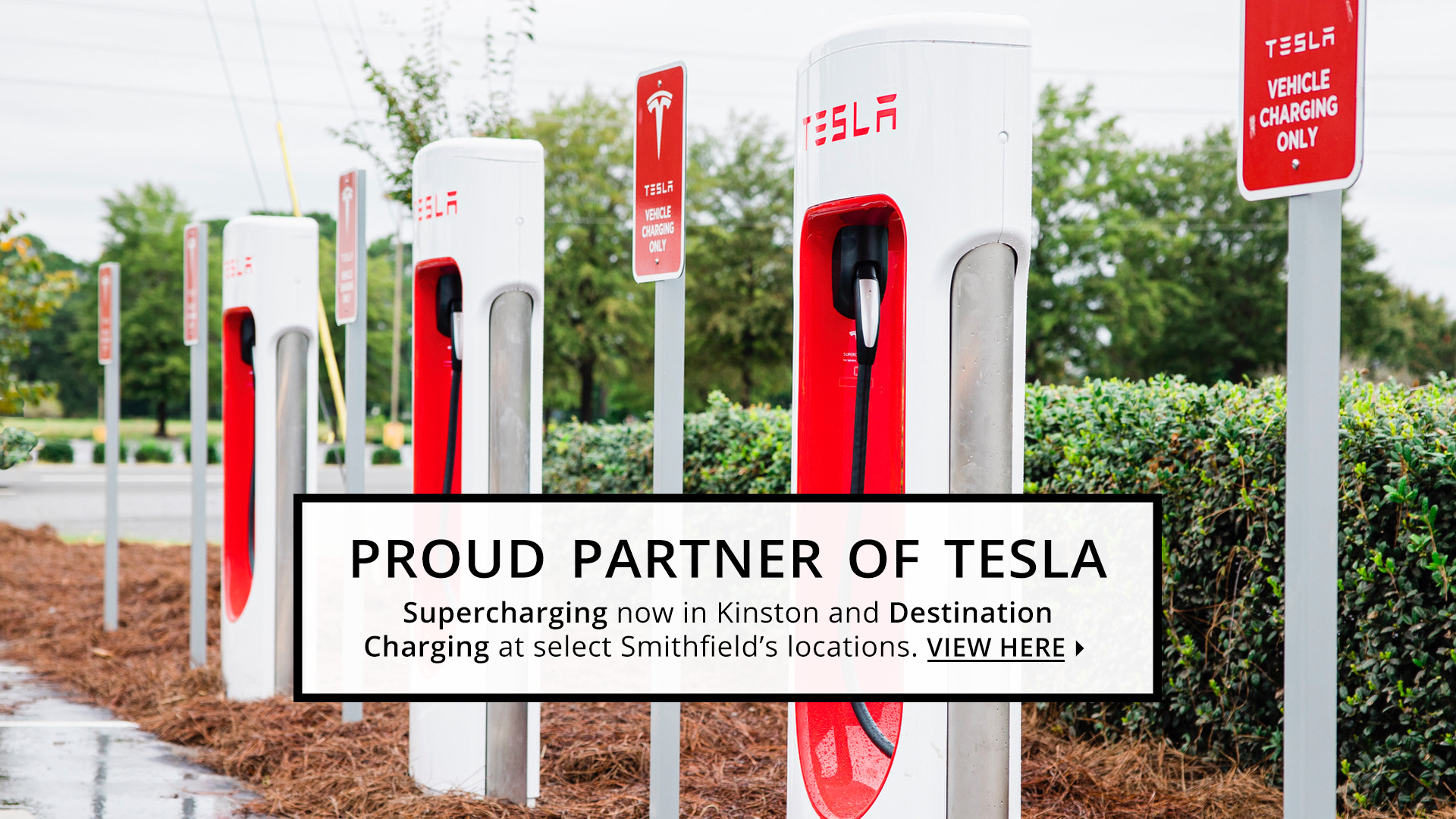 proud Partner of Tesla